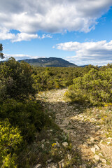 Vue sur le Pic Saint-Loup depuis le Bois de Lèque à Les Matelles (Occitanie, France)