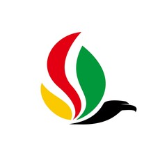 falcon energy logo template. eagle sign and symbol vector illustration.