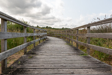 Obraz premium Road and nature. It is about wooden pavement, floor, passage, path, path or passageway with nature to walk and connect with the beach in the sea