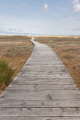 Road and nature. It is about wooden pavement, floor, passage, path, path or passageway with nature to walk and connect with the beach in the sea