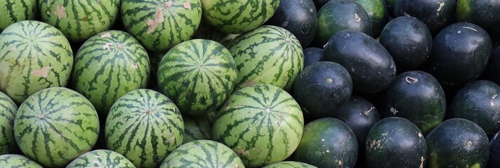 Two types of watermelons. Two different shades of green.
