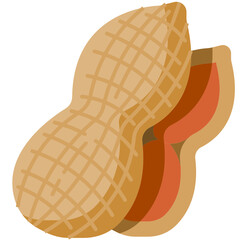peanut flat icon