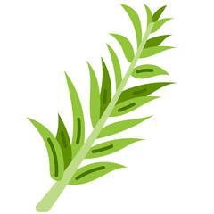 rosemary flat icon