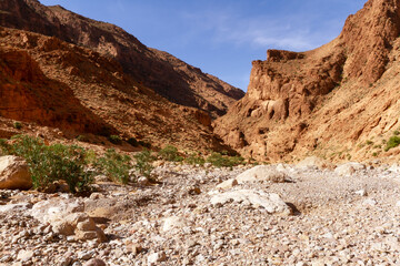 Rocky red slopes of Todra Gorge in the High Atlas near the Tinghir   ( Tinerhir ) town. Morocco, Africa