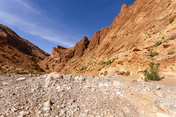 Rocky red slopes of Todra Gorge in the High Atlas near the Tinghir   ( Tinerhir ) town. Morocco, Africa