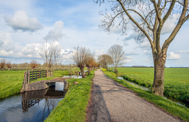 Typical Dutch polder road with small bridges and pollard willows. The photo was taken on a sunny...