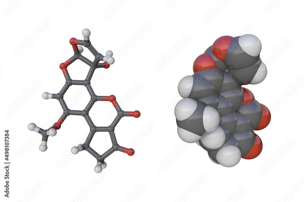 Poster Molecular models of aflatoxin M1. Atoms are shown as spheres with conventional color coding: carbon (grey), oxygen (red), hydrogen (white). 3d illustration