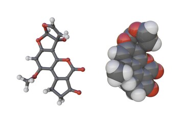 Molecular models of aflatoxin M1. Atoms are shown as spheres with conventional color coding: carbon (grey), oxygen (red), hydrogen (white). 3d illustration