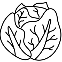 cabbage line icon
