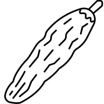 recommend clip art: bitter gourd line icon
