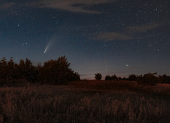 Obraz na płótnie Canvas Neowise comet