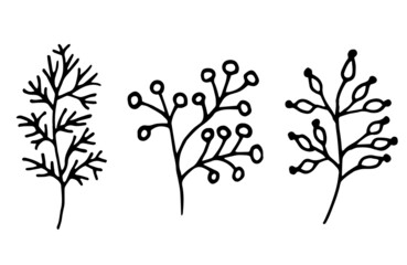 Hand drawn vector illustration of flowers. Collection of doodle floral elements.