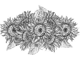 Flower bouquet with sunflowers. Flower composition for decoration of invitations for a wedding, birthday, holiday. Design for coloring book. Vintage hand draw sketch illustration isolated on white