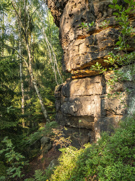 Lampertstein in der S&auml;chsischen Schweiz - Wald am Lampertshorn 