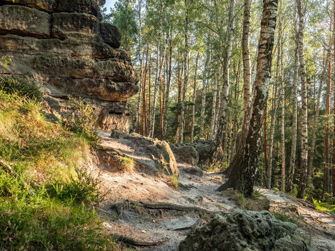 Lampertstein in der S&auml;chsischen Schweiz - Waldpfad am Lampertshorn