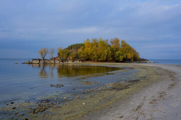 deciduous trees on the lake, in autumn. landscapes. trips. Eastern Europe