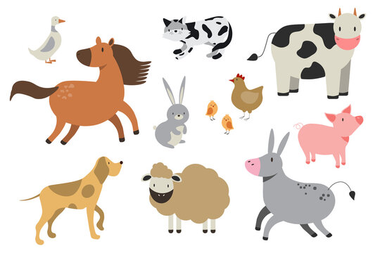 Farm animals set in flat style isolated on white background. Vector illustration. Cute cartoon animals collection sheep, goat, cow, donkey, horse, pig, cat, dog, duck, goose, chicken, EPS