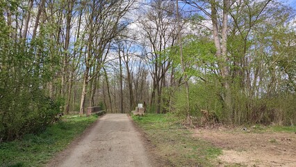 Oberwald Karlsruhe