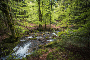 Fototapeta na wymiar La cascade du Rummel est une chute d'eau du massif des Vosges située sur la commune de Lepuix dans le territoire de Belfort.