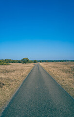 Fototapeta premium road in the countryside