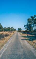 road in the countryside