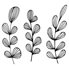 set of leaves