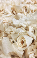 Piled up hand plane maple wood shavings