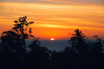 Beautiful Sunset over Andaman sea with dramatic natural orange cloudy sky. Tropical Trees Silhouette. Phuket, Thailand