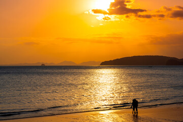 Relaxing sea sunset and romantic couple silhouettes walking on the beach in golden sunlight.