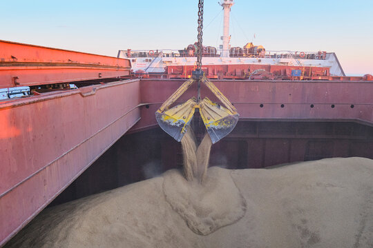 Loading of wheat, barley in bulk using steel grab into cargo hold of bulk carrier, cargo ship