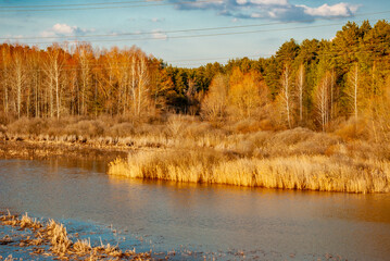 A sunny April day in Samarskaya Luka National Park!
