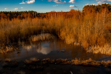 A sunny April day in Samarskaya Luka National Park!