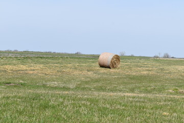 Hay Bale in a Farm Field