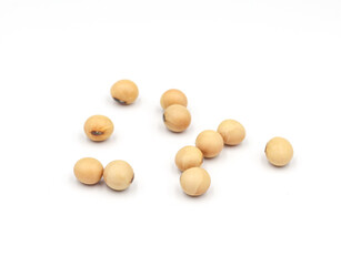 soybean seeds isolated on white background