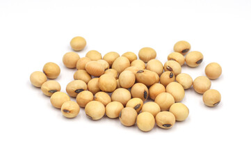 soybean seeds isolated on white background