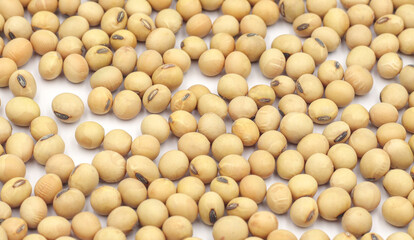 Close-up shot on a background of a pile of dried soybeans. for product advertisement