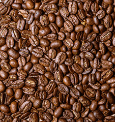 Roasted coffee beans with background