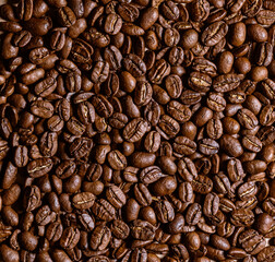coffee beans on a whole background