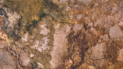 Abstract texture of the thermal ground in Yellowstone
