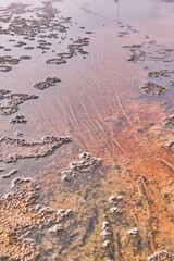 Abstract texture below water in Yellowstone