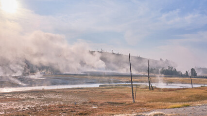 Trees ad Steam at Sunlight in Yellowstone
