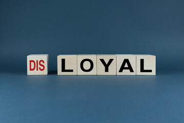 Cubes form the words disloyal or loyal. Concept of choice in attitude at work in business and everyday life