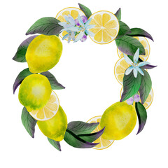 A wreath of lemon fruits and leaves hand-drawn in watercolor. Festive postcard from yellow citruses and white flowers. Invitation and congratulatory form. Emblem and logo. Summer bright design.