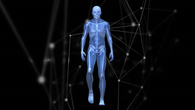Animation of network of connections and data processing over human body model