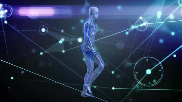 Animation of network of connections over human body model