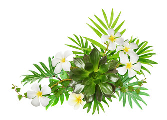 Rosette of succulent and tropical flowers and leaves in a floral arrangement isolated on white...