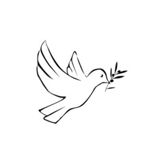 Freedom dove icon isolated on white background