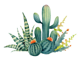 Watercolor arrangement of cactuses and succulents. Illustration of houseplant. Mexican flowers composition. © LuckPicture