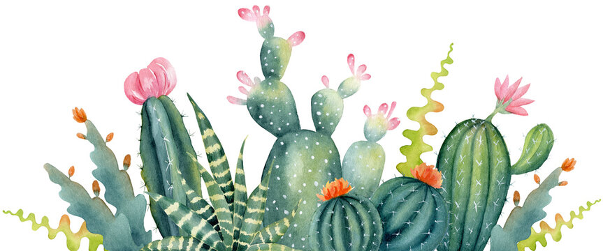 Watercolor border of cactus and succulent with pink flower. Hand painted illustration of houseplant. Mexican greenery frame for home decor. Horizontal floral composition.