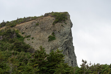 An upward view of a large steep rocky mountain covered in evergreen trees at the base of the hill. The rock face is a flat cliff with a long drop. The background is a grey cloudy sky.